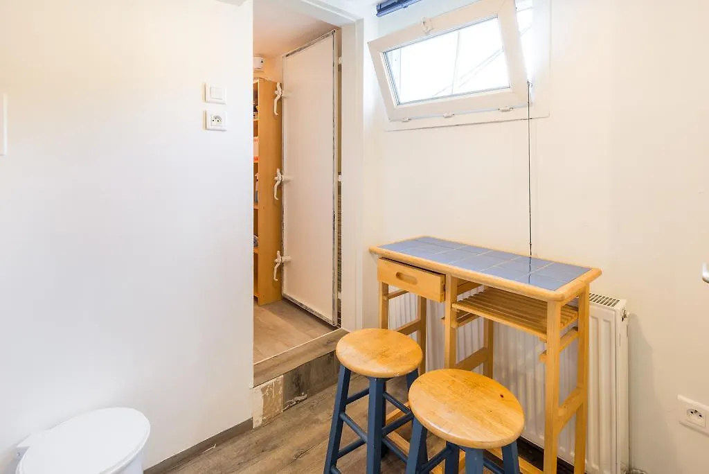 里昂 La Peniche Sur La Saone酒店 船屋